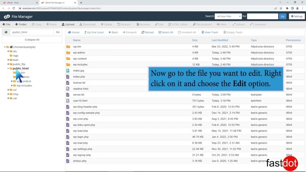 how-to-edit-file-in-the-cpanel-file-manager-with-fastdot