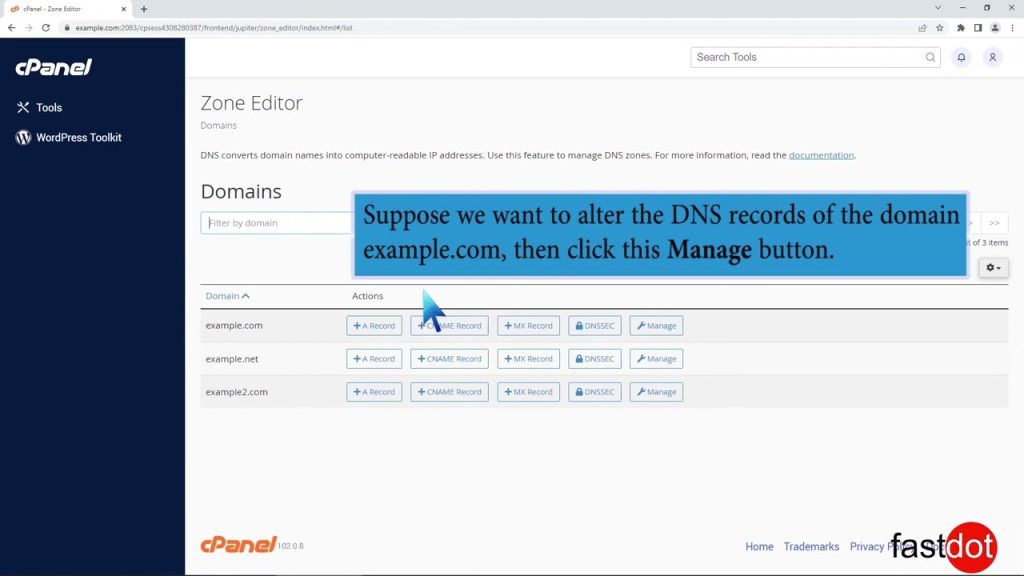 how-to-edit-or-delete-a-record-in-cpanel-using-the-dns-zone-editor-with-fastdot