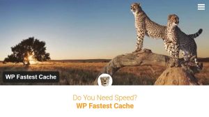 WP Fastest Cache is a popular caching plugin for WordPress sites, designed to improve site performance by reducing load time.
