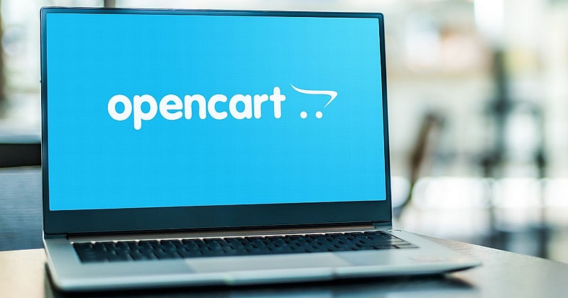 Best-OpenCart-Hosting-Solutions-for-Small-to-Big-Shops